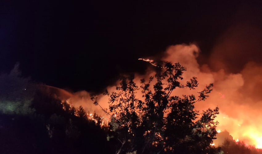 Akdeniz'in ciğerleri yanıyor!