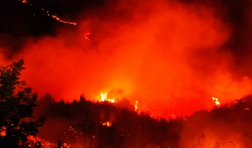Türkiye'nin ciğerleri yanıyor... Alevlerle topyekun mücadele aralıksız sürüyor