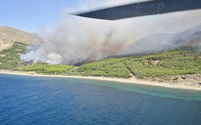 Gökçeada’daki orman yangını 16 saat sonra kontrol altına alındı! 110 hektarlık alan kül oldu Gökçeada’daki orman yangını 16 saat sonra kontrol altına alındı! 110 hektarlık alan kül oldu