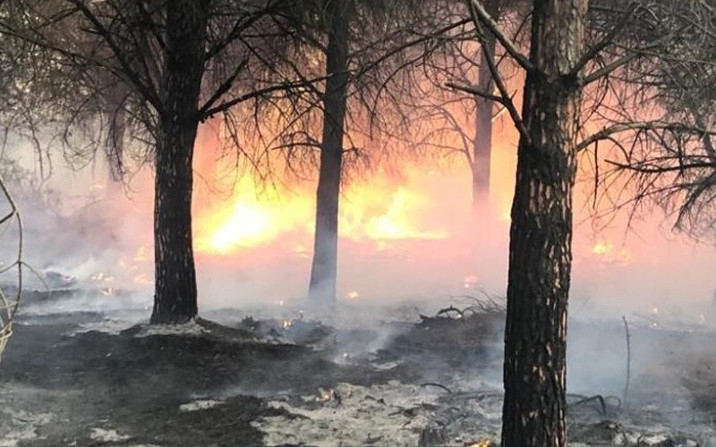 Gökçeada’daki orman yangını 16 saat sonra kontrol altına alındı! 110 hektarlık alan kül oldu Gökçeada’daki orman yangını 16 saat sonra kontrol altına alındı! 110 hektarlık alan kül oldu