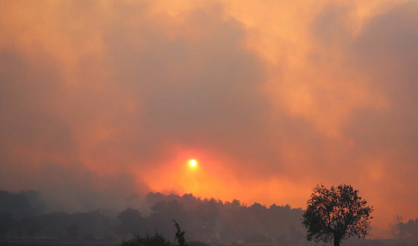 Hatay'daki yangının sebebi ortaya çıktı: Bakanlar açıkladı, 2 kişi gözaltında