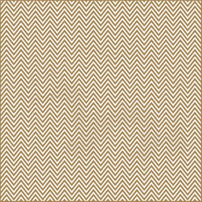 Görseldeki tehlikeli hayvan hangisi? 5 saniyede bulan keskin zekaya sahip