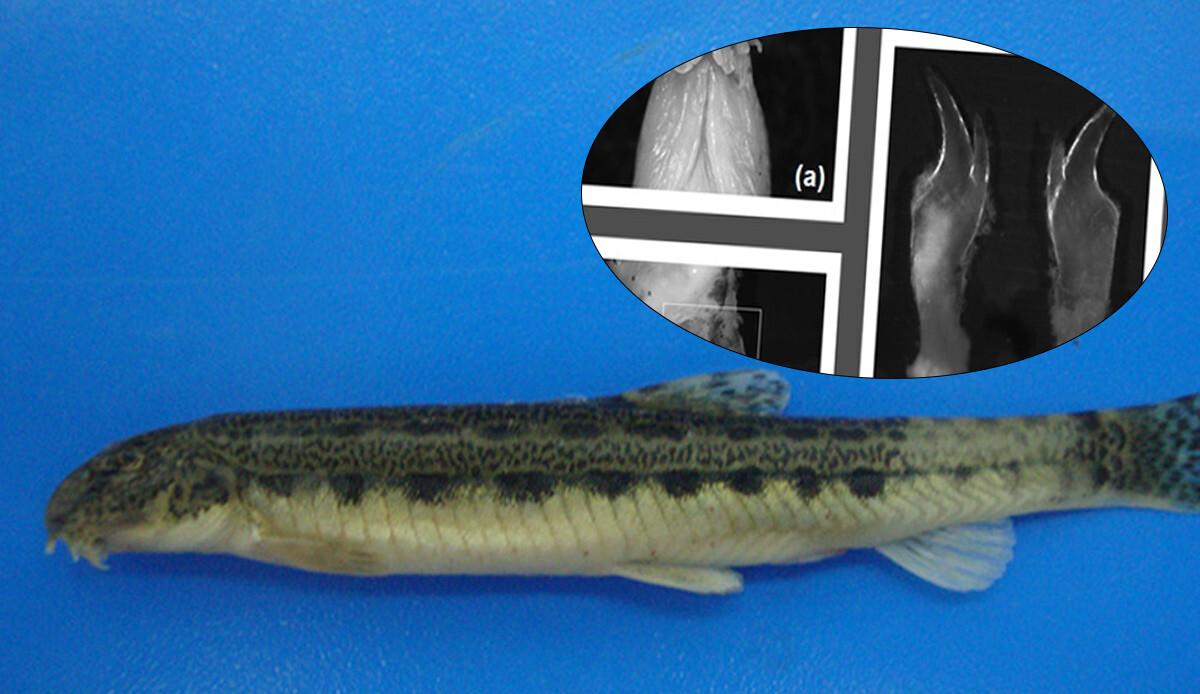 Boğazlardan 'Katiyen geçemez' deniliyordu, Samsun’da tespit edildi! İmkansız denilen keşif