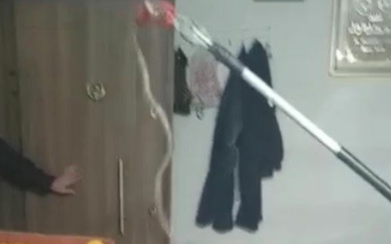 Havalar ısınınca yuvalarından çıkmaya başladılar… Uzmanlar yılan saldırılarına karşı uyardı!