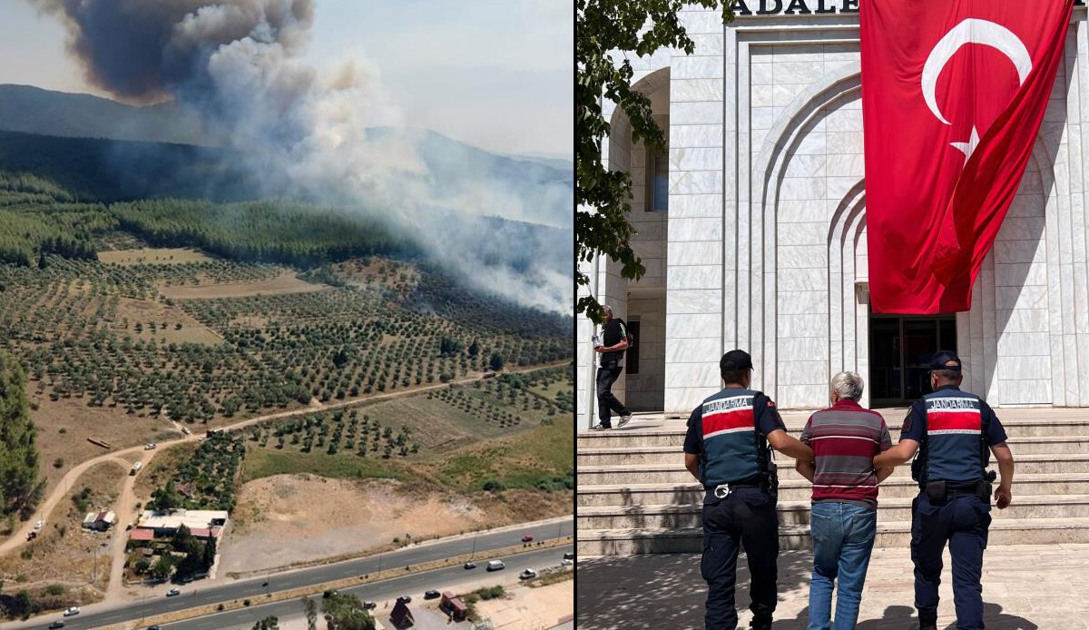 Muğla Milas&#039;taki yangının nedeni ortaya çıktı! Şüpheli tutuklandı, suç dosyası kabarık çıktı