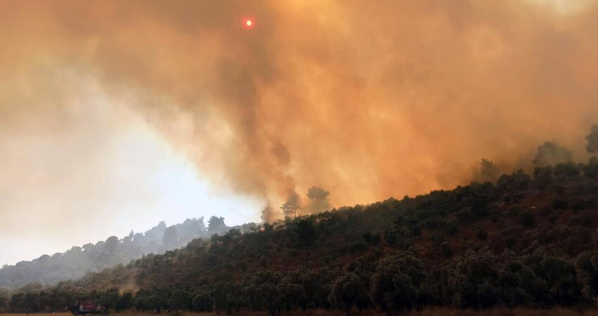 Muğla Milas'taki yangının nedeni ortaya çıktı! Şüpheli tutuklandı, suç dosyası kabarık çıktı