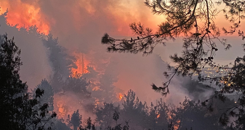 mersin orman yangını