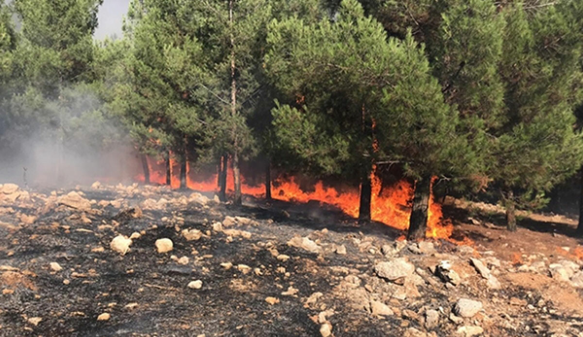 Şanlıurfa’da çıkan orman yangınıyla ilgili bir tutuklama Şanlıurfa’da çıkan orman yangınıyla ilgili bir tutuklama