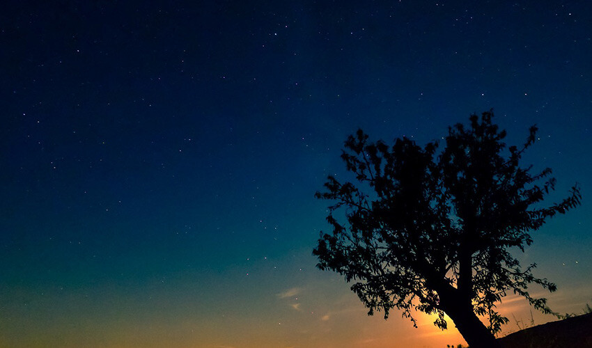 <h3><strong>PERSEİD METEOR YAĞMURLARINI İZLEMEK İÇİN NEREYE BAKMALI?</strong></h3><p>Adından da anlaşılacağı gibi, Perseidlerin ışıltısı <strong>Perseus takımyıldızının</strong> kuzey kesiminde, Andromeda'nın yanında yer alır. Perseidler hızlı olduklarından gökyüzünde kalıcı izlerbırakabilir ve şansınız varsa bir ateş topuyla bile karşılaşabilirsiniz. Perseus takımyıldızı gökyüzünde kuzeydoğu yönündedir. Perseus'taki en parlak yıldız, takımyıldızın ortasında sarı bir süperdev olan <strong>Mirfak</strong>'tır. Değişken mavi-beyaz yıldız Algol, Mirfak ile merkezin nerede olduğunu belirlemeye yardımcı olan bir çizgi oluşturur.</p>