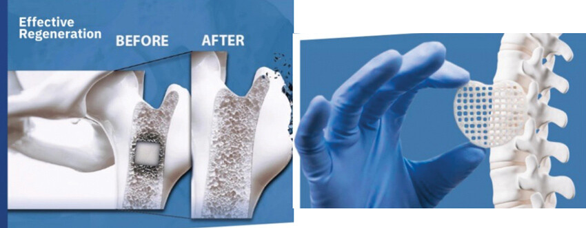 Türk bilim adamları geliştirdi: Yapay organ üretilecek