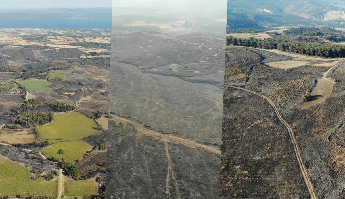 Çanakkale’de son durum: Acı manzara gün ağarınca ortaya çıktı