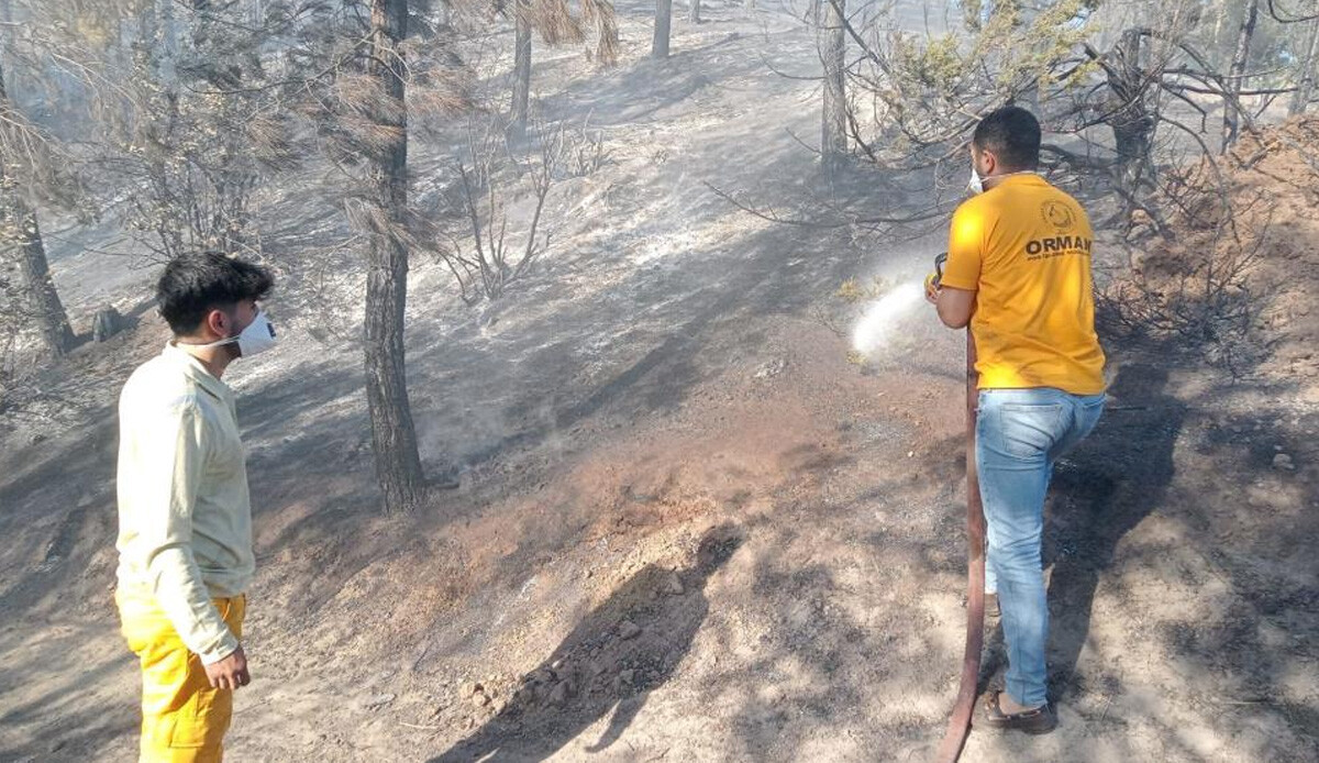 Adana'daki orman yangını yayılmadan kontrol altına alındı Adana'daki orman yangını yayılmadan kontrol altına alındı