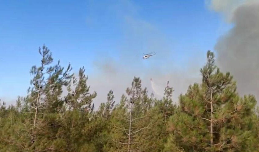 Gaziantep'te orman yangını! Havadan ve karadan müdahale ediliyor Gaziantep'te orman yangını! Havadan ve karadan müdahale ediliyor