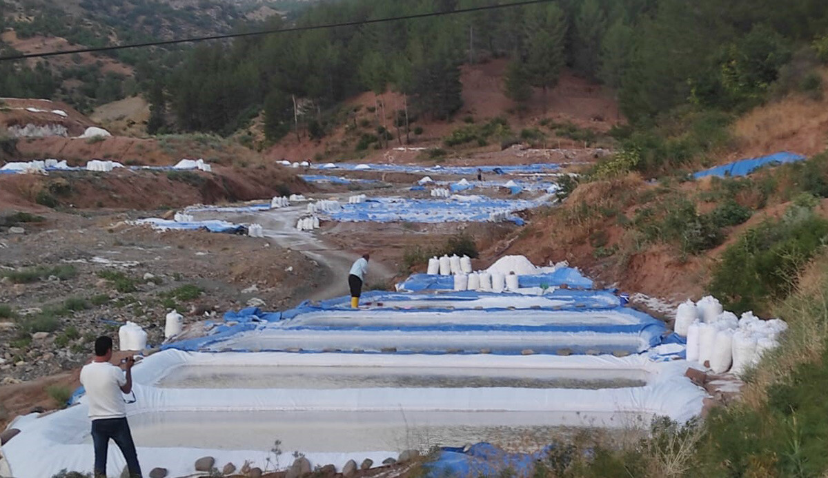 Dağdan akıyor, 3 ayda 150 bin lira kazandırıyor: Bir köy 200 yıldır bu işi yapıyor