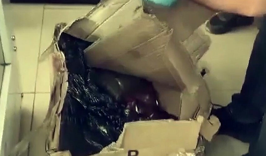 Kaçakçılık operasyonunda 8 gözaltı Kaçakçılık operasyonunda 8 gözaltı