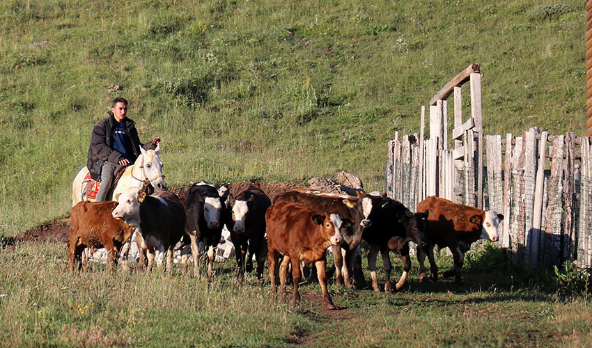 Türkiye sıcaktan kavrulurken onlar soba yakmak zorunda! Keşfedilmeyi bekleyen doğa hazinesinde bacalar yazın da tütüyor