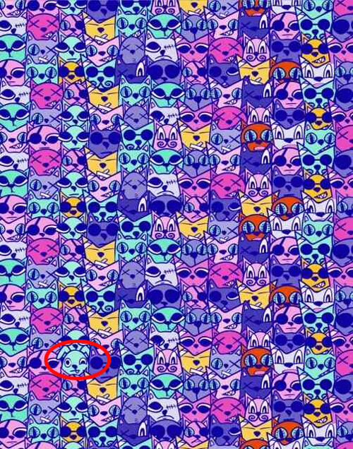 IQ testi: Görseldeki köpeği 13 saniyede bulanlar sivri zekalı! IQ testi: Görseldeki köpeği 13 saniyede bulanlar sivri zekalı!