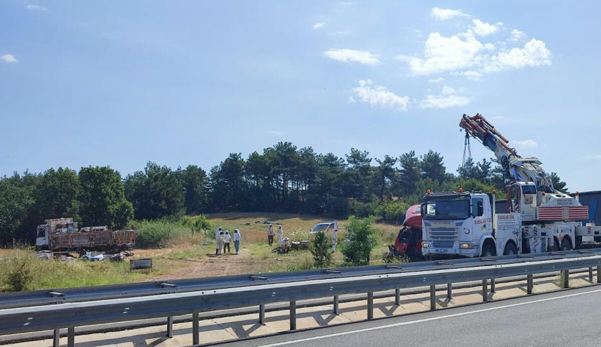 Edirne'de feci kaza! Arıcılara tır çarptı: 4 ölü, 1 yaralı Edirne'de feci kaza! Arıcılara tır çarptı: 4 ölü, 1 yaralı