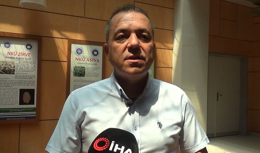 Çok büyük çekirge istilası geliyor! Tarlalar zarar görecek