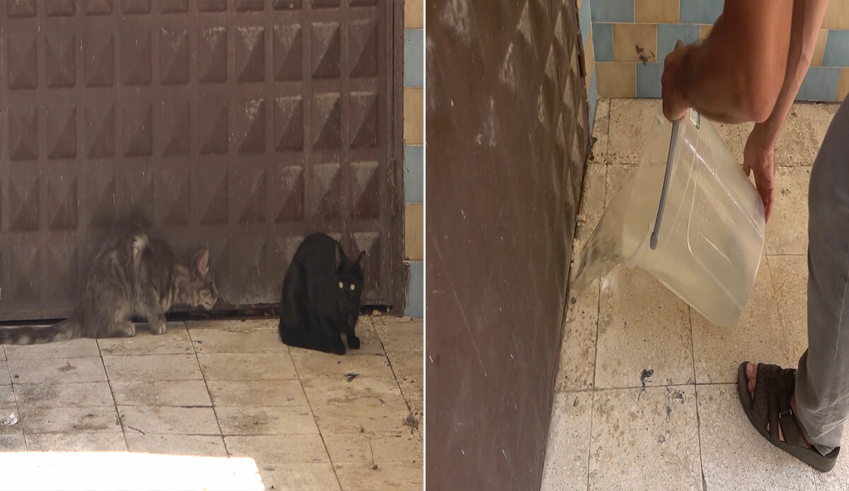 Ana yüreği… Günlerce bekledi, bir an olsun ayrılmadı: Görüntüler yürek sızlattı Ana yüreği… Günlerce bekledi, bir an olsun ayrılmadı: Görüntüler yürek sızlattı