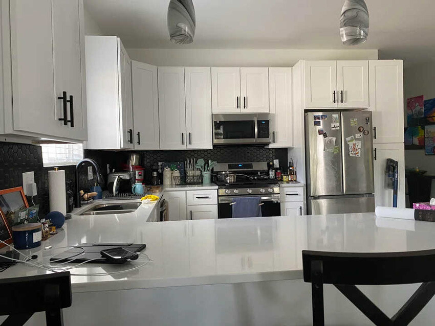 9 saniyeniz var… Saklanan iki kediyi bulan ‘süper zeki’ çıkıyor