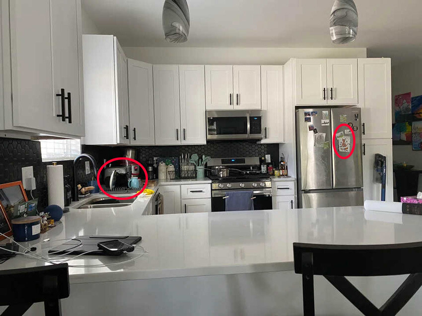 9 saniyeniz var… Saklanan iki kediyi bulan ‘süper zeki’ çıkıyor