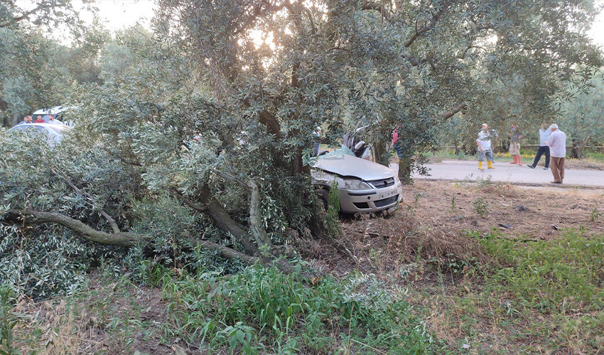 Kontrolden çıkan araç zeytinliğe daldı:1 ölü