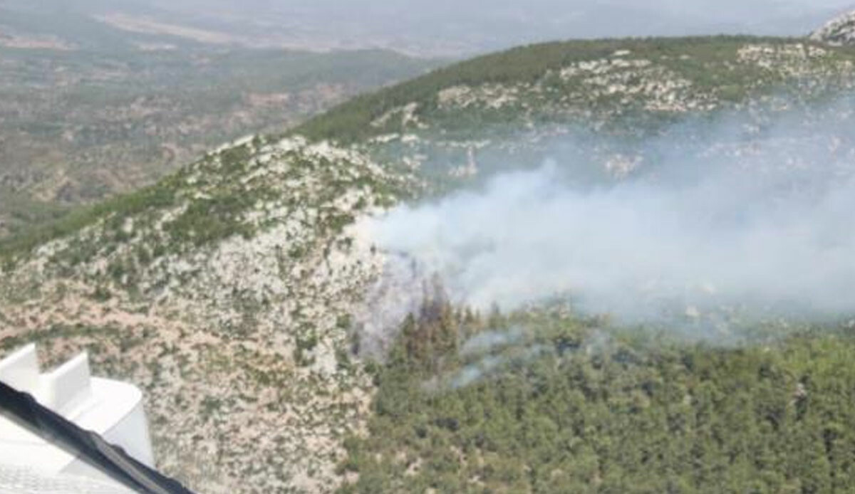 Muğla Milas'ta korkutan orman yangını! Muğla Milas'ta korkutan orman yangını!
