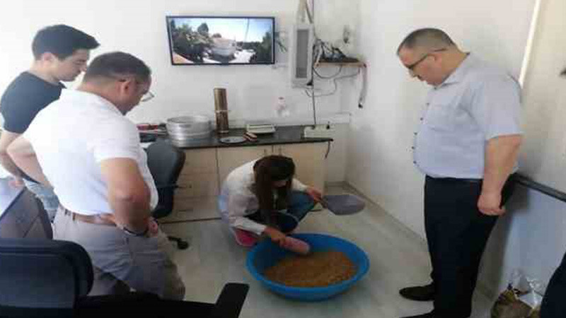 TMO son buğday tanesine kadar alım yapacak  Denizli- tarım