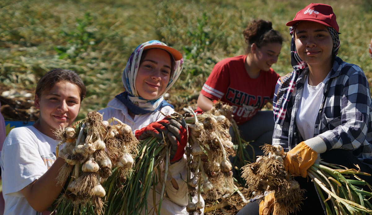 Kavurucu sıcakta zorlu ‘beyaz altın’ mesaisi: Yaşıtları tatildeyken onlar her gün 200 kilometre yol gidiyor