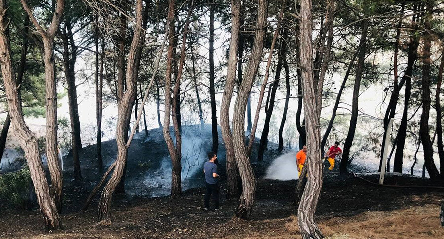 Mangal ateşi ormanı yaktı, vatandaşlar piknikçilere isyan etti Mangal ateşi ormanı yaktı, vatandaşlar piknikçilere isyan etti