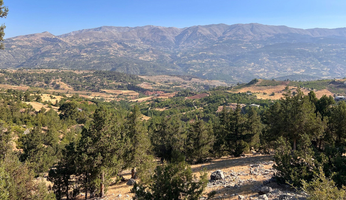 Kahramanmaraş'taki orman yangını söndürüldü Kahramanmaraş'taki orman yangını söndürüldü
