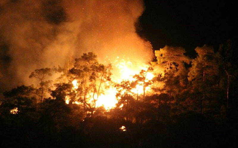 Son dakika... Bakan Yumaklı'dan Antalya'daki yangına ilişkin açıklama