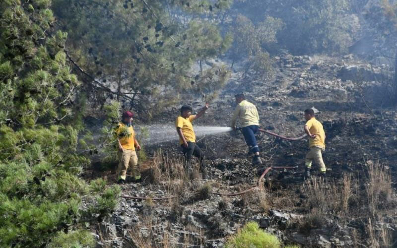 Aydın’da orman yangını: Çok sayıda ekip sevk edildi