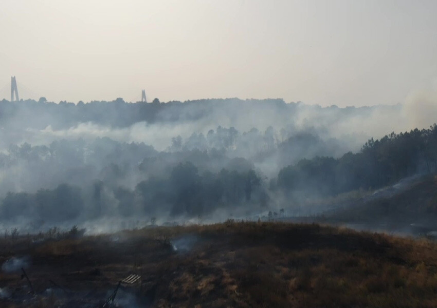 Son dakika: Beykoz’da orman yangını! Çok sayıda ekip sevk edildi Son dakika: Beykoz’da orman yangını! Çok sayıda ekip sevk edildi