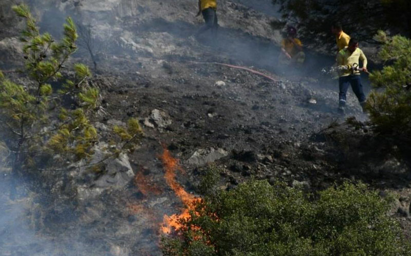 Aydın’da orman yangını: Çok sayıda ekip sevk edildi
