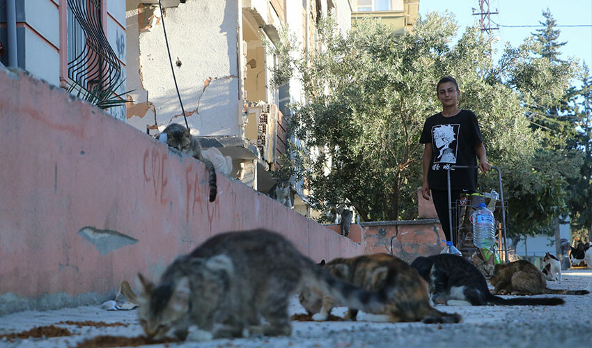 Onlar için enkaz kente geri döndü: Aylık 10 bin TL harcama yapıyor