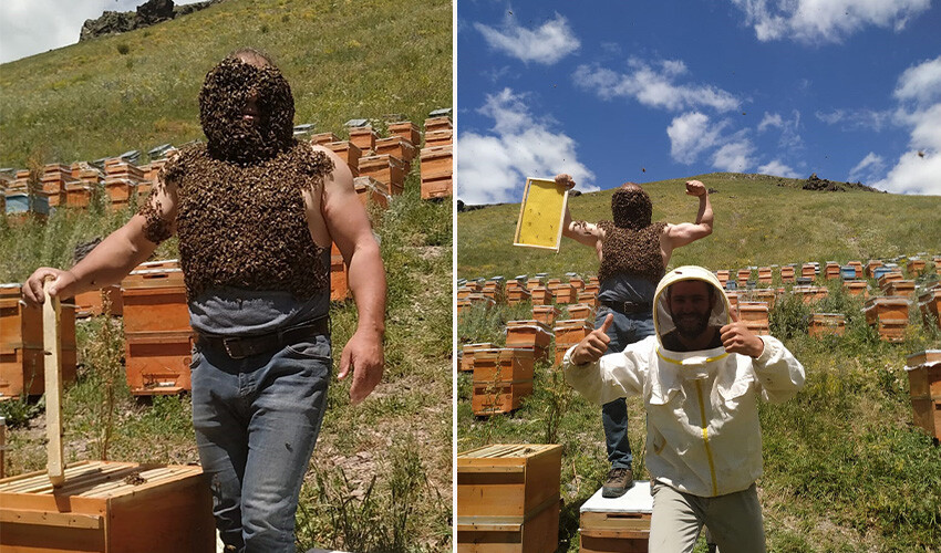 Görenlerin ağzı açık kalıyor! Arı adam binlercesini vücuduna alıp dans etti