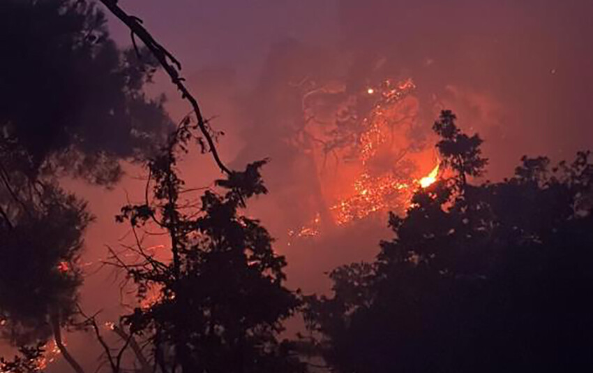 Bolu'da ormana düşen yıldırım yangın çıkardı: Havadan karadan müdahale ediliyor