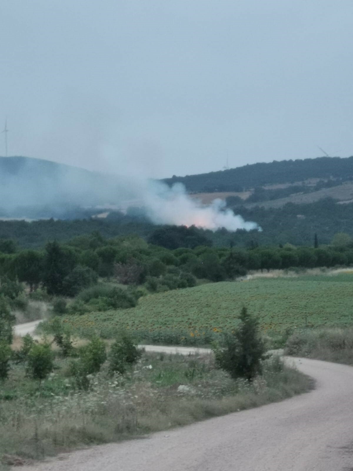 Ormana düşen yıldırım yangına neden oldu Ormana düşen yıldırım yangına neden oldu