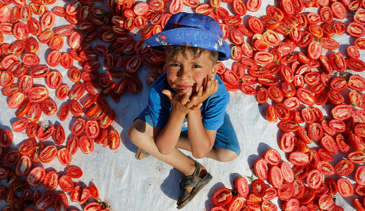 Güneş altında zorlu mesai başladı: 3 günde kurutuyorlar, çok sayıda ülkeye ihraç ediyorlar