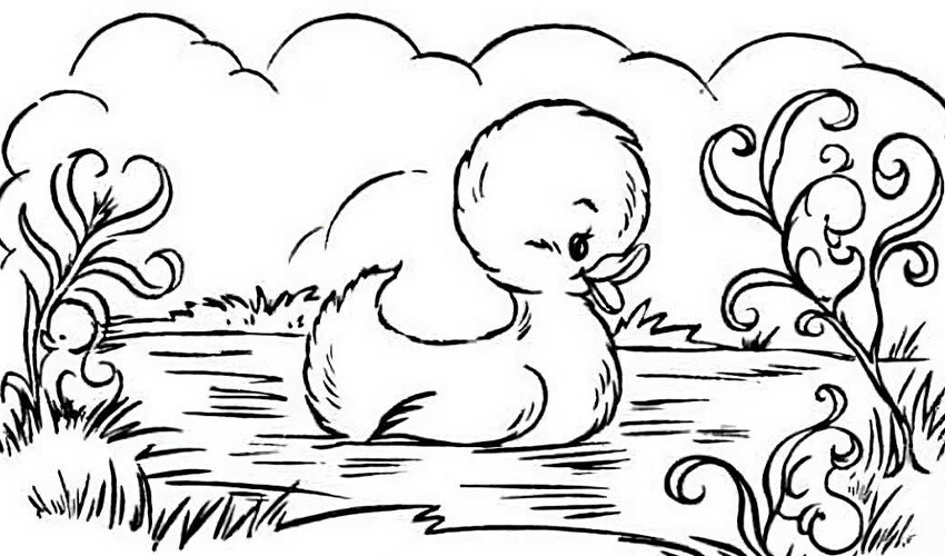 Zeka seviyesini ölçen test: Saklanan 3 gizli ördeği bulursanız dâhisiniz Zeka seviyesini ölçen test: Saklanan 3 gizli ördeği bulursanız dâhisiniz