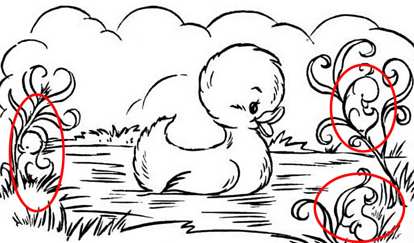 Zeka seviyesini ölçen test: Saklanan 3 gizli ördeği bulursanız dâhisiniz Zeka seviyesini ölçen test: Saklanan 3 gizli ördeği bulursanız dâhisiniz