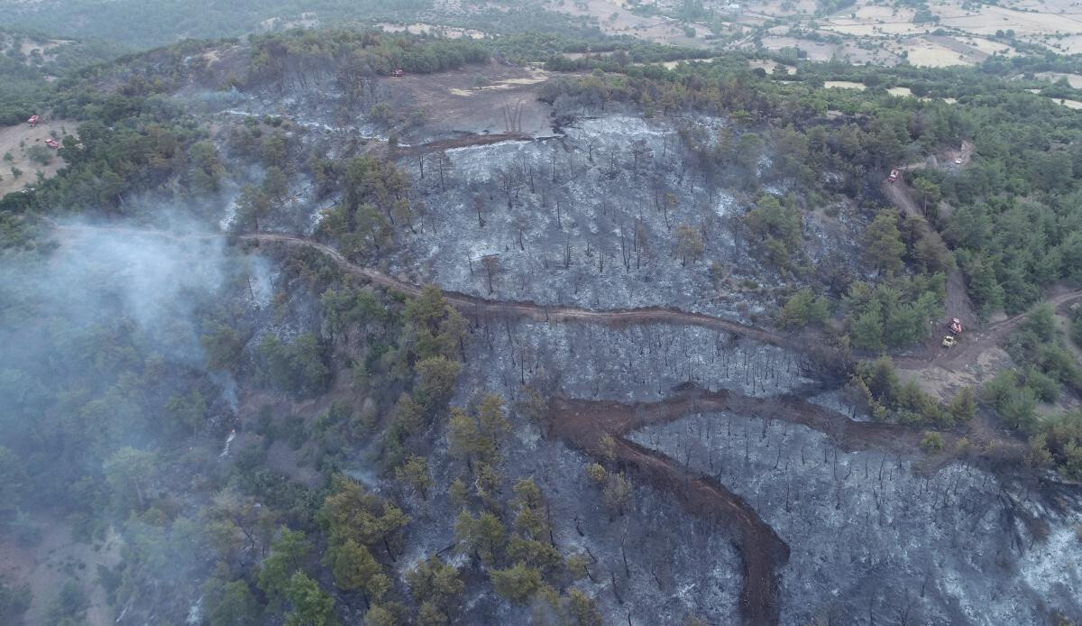 Çanakkale&#039;deki orman yangınının içler acısı son hali havadan görüntülendi