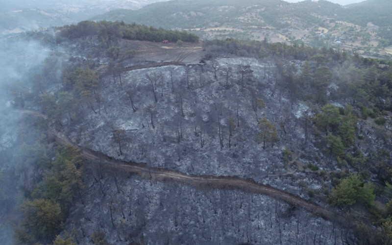 Çanakkale'deki orman yangınının içler acısı son hali havadan görüntülendi Çanakkale'deki orman yangınının içler acısı son hali havadan görüntülendi