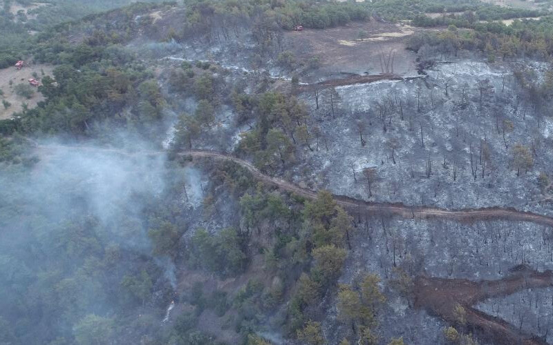 Çanakkale'deki orman yangınının içler acısı son hali havadan görüntülendi Çanakkale'deki orman yangınının içler acısı son hali havadan görüntülendi