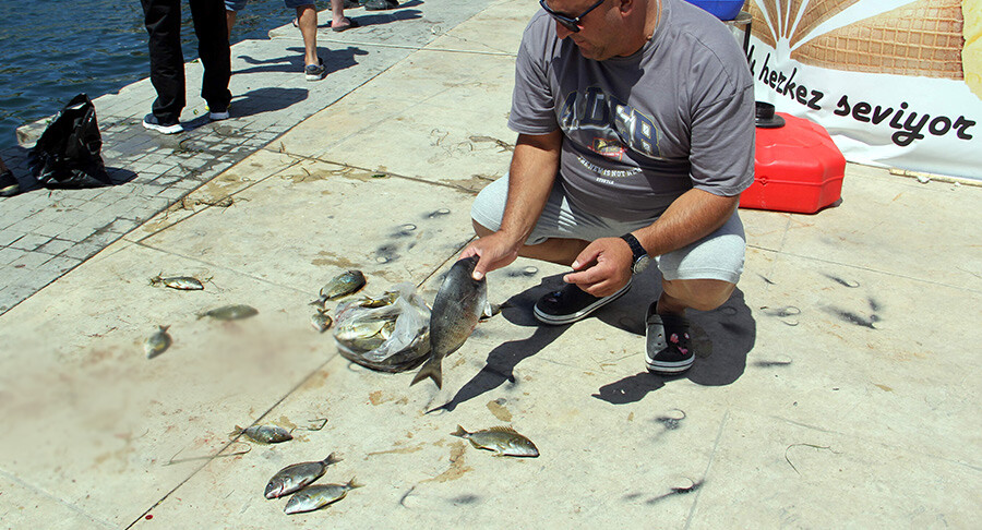 Ani soğuma balıkları şoka soktu! Kovayı alan kıyıya koştu