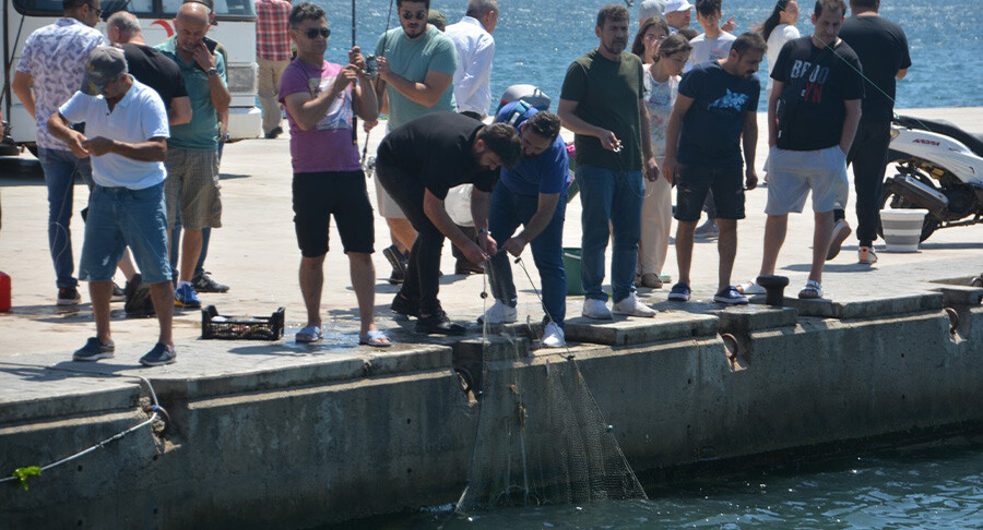 Ani soğuma balıkları şoka soktu! Kovayı alan kıyıya koştu
