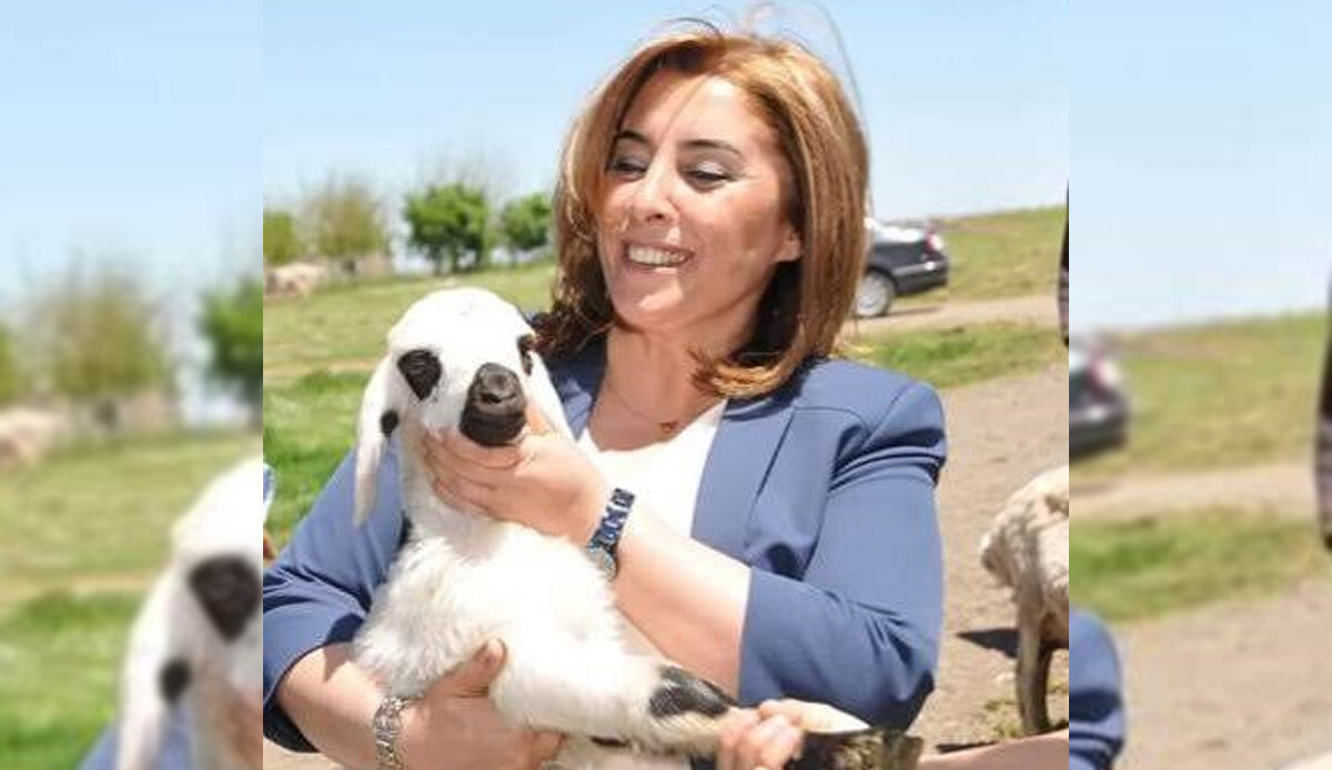 Yurt dışına kaçmaya çalışırken yakalanmıştı: Eski HDP'li Belediye Eş Başkanı cezaevine gönderildi Yurt dışına kaçmaya çalışırken yakalanmıştı: Eski HDP'li Belediye Eş Başkanı cezaevine gönderildi
