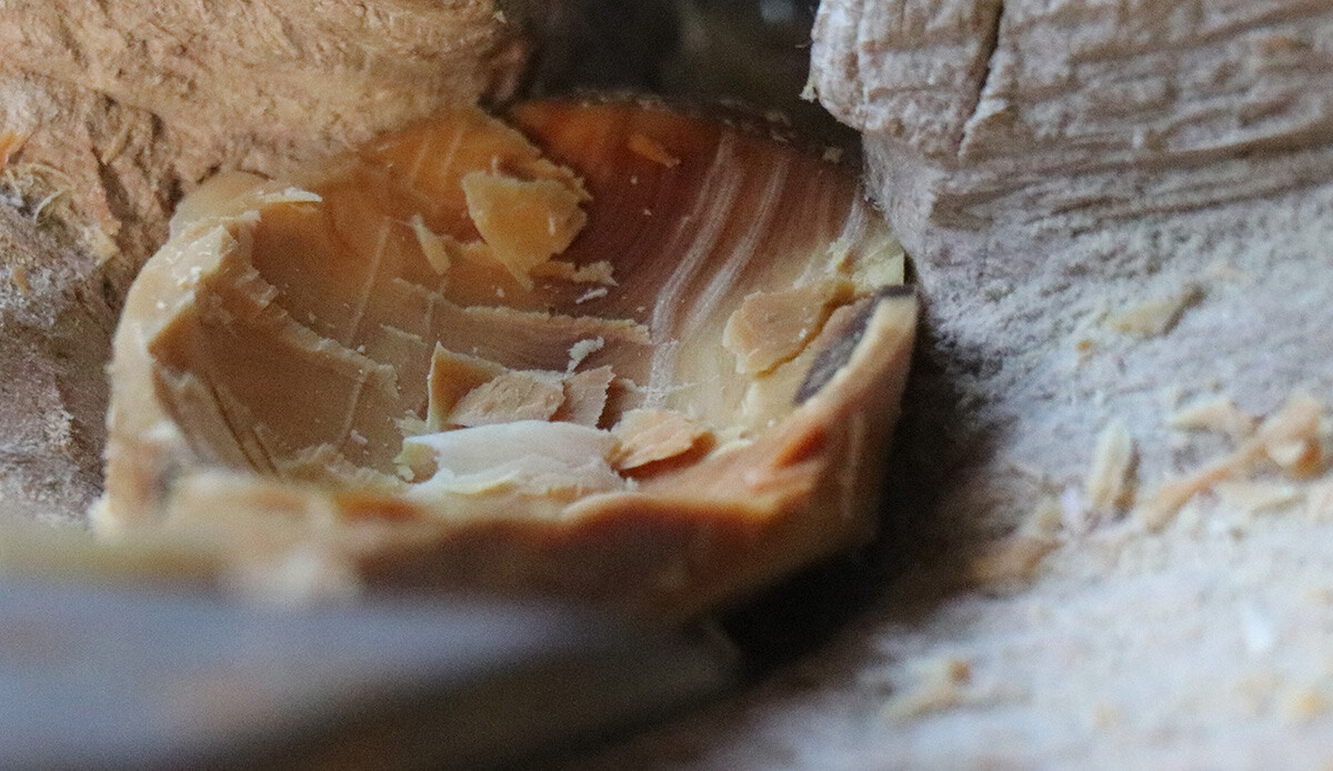 Tek başına üretiyor, birçok ülkeye ihraç ediyor! Hem bakteri üretmiyor, hem besin değerini düşürmüyor...